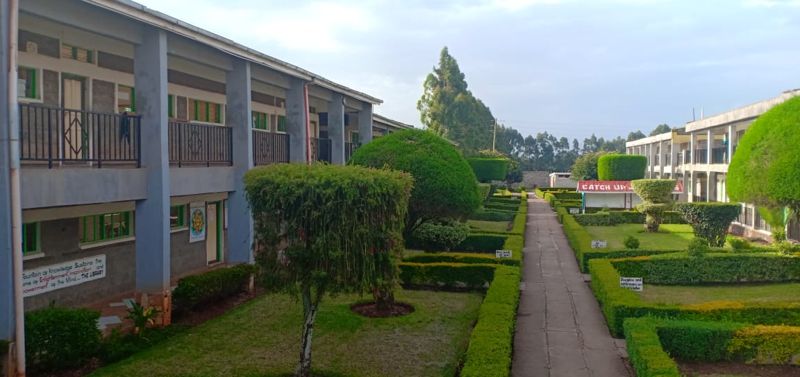 busara-grounds-a.jpg